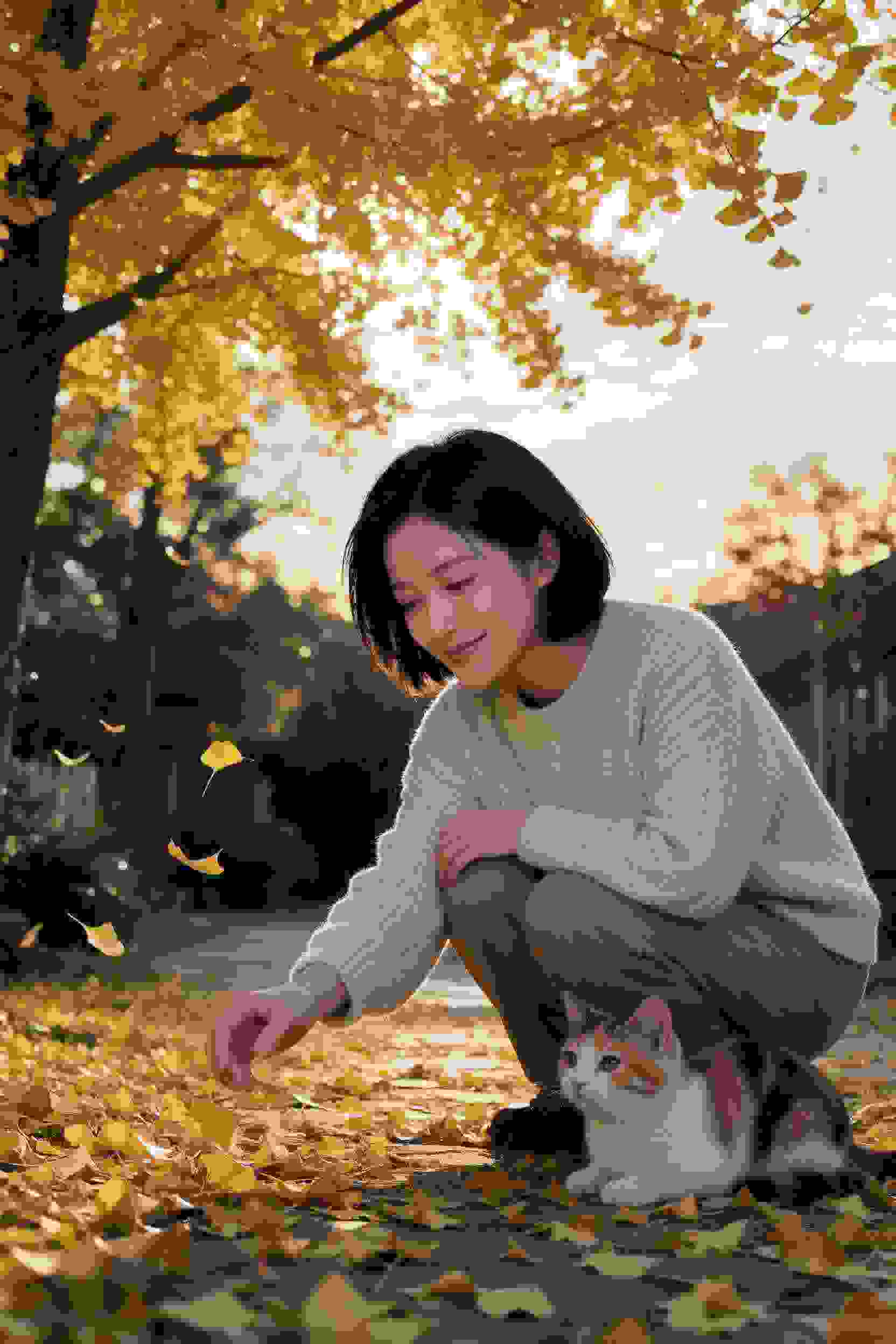 纯洁の轮舞曲